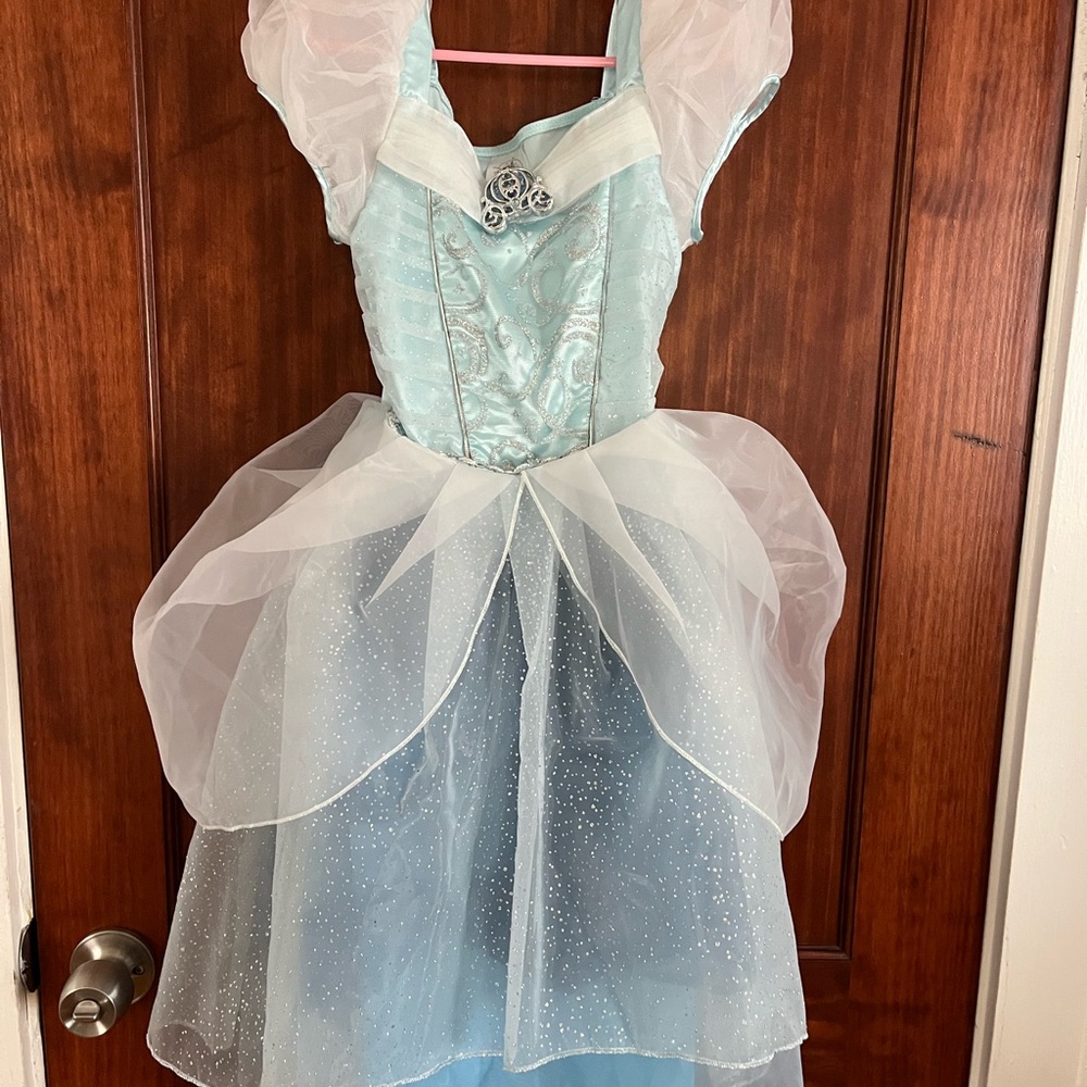 Disney Cinderella Princess Costume